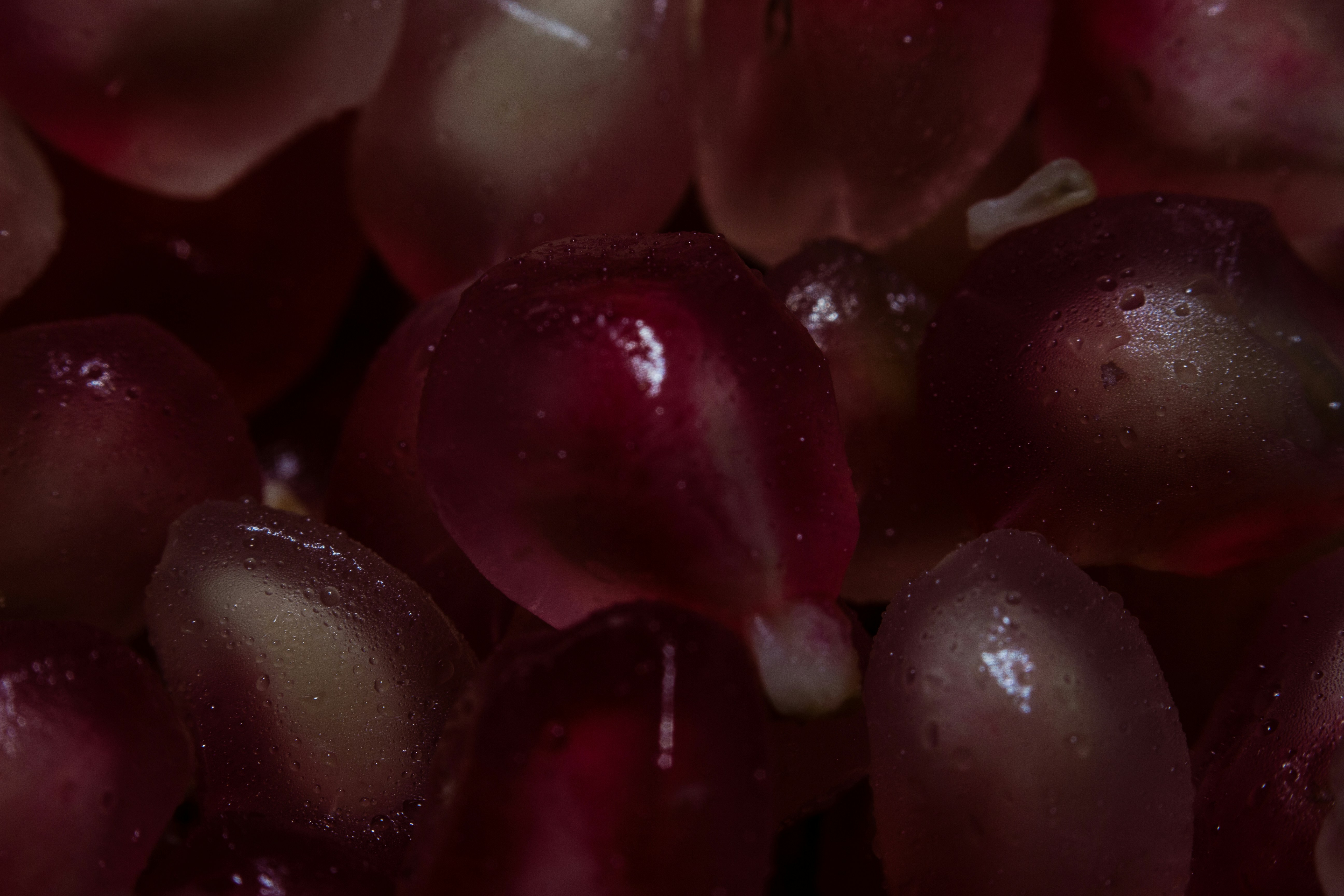 a bunch of grapes with water droplets on them