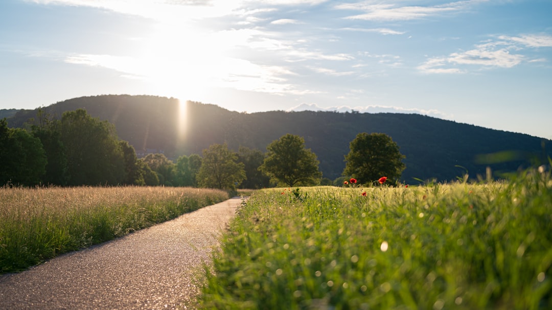 Hill station photo spot Landesstraße A Würzburg