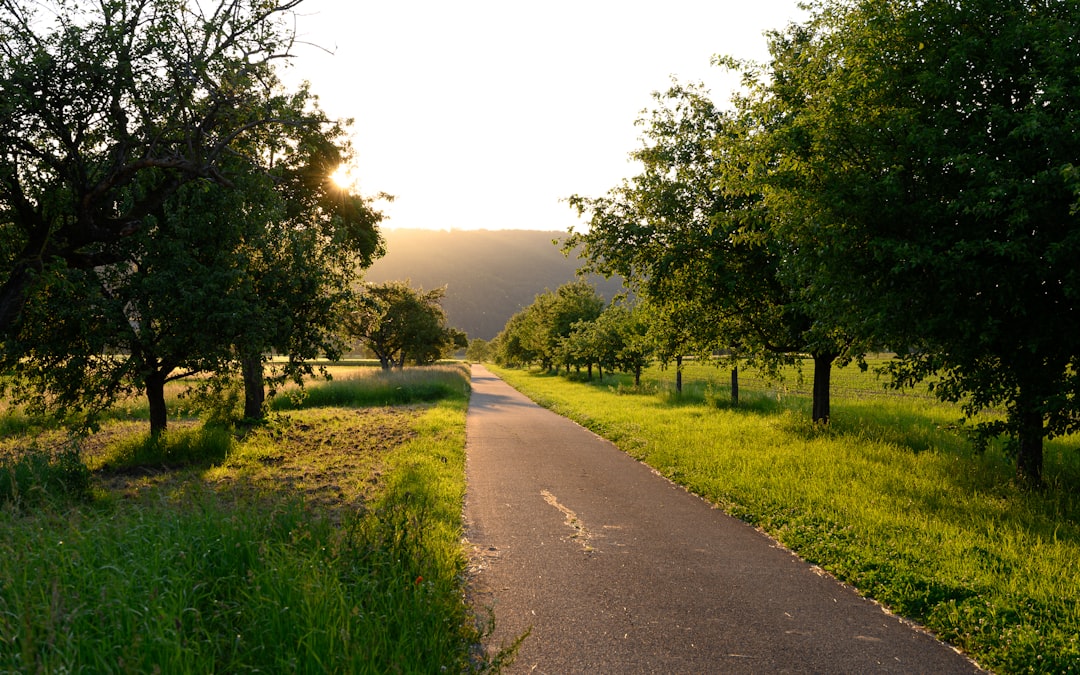 Nature reserve photo spot Untere G. 6 Black Forest