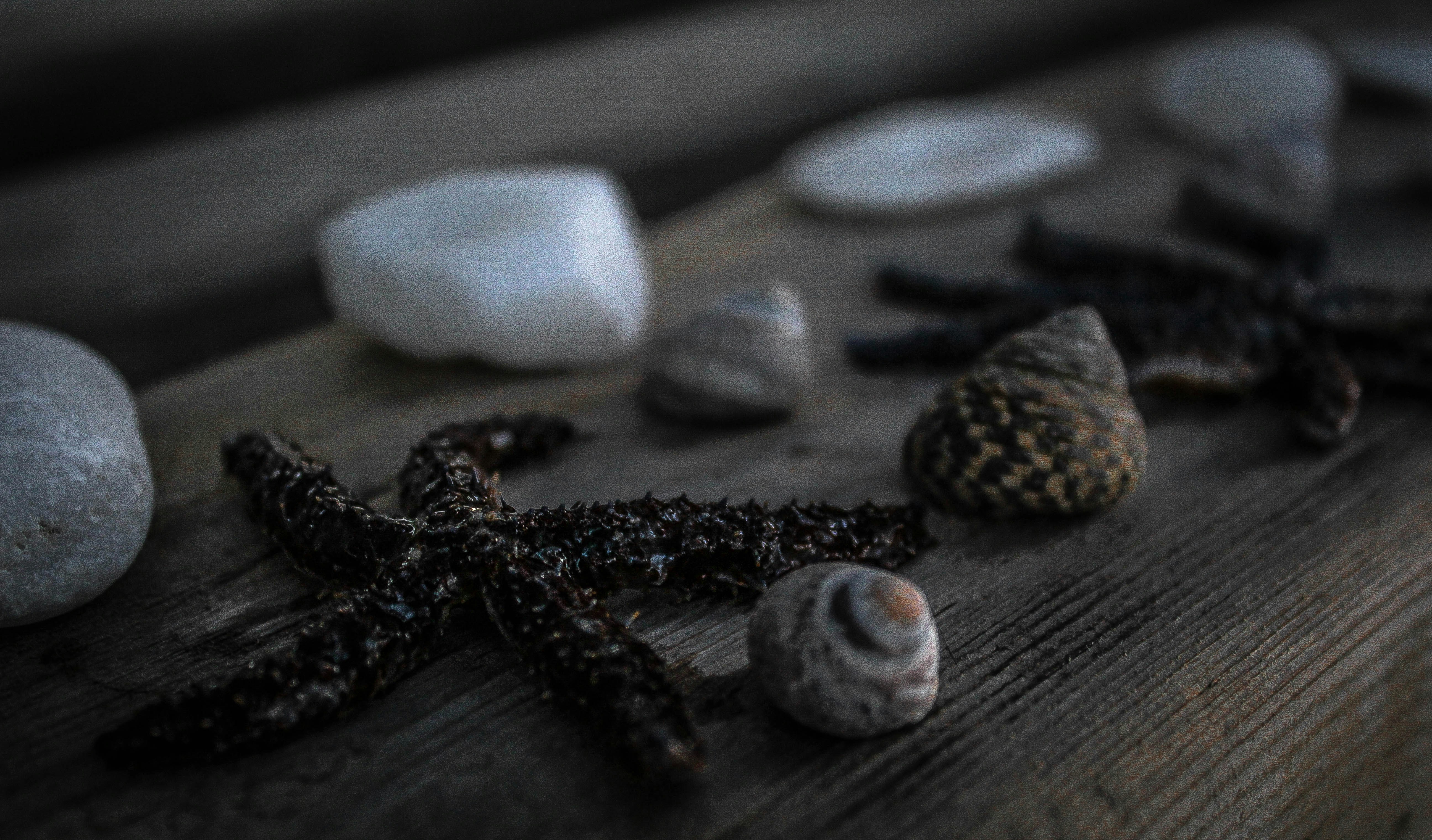 Photo by christos_katsikis