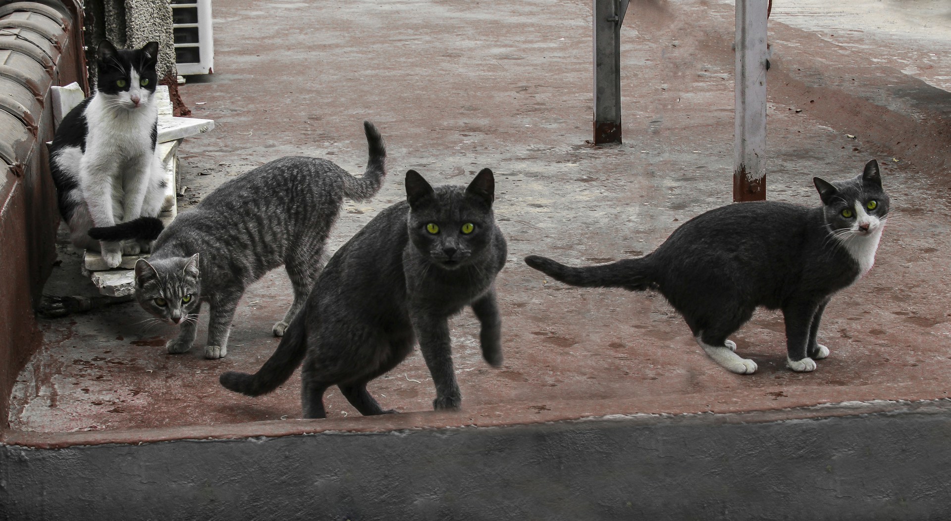 gray computer monitor