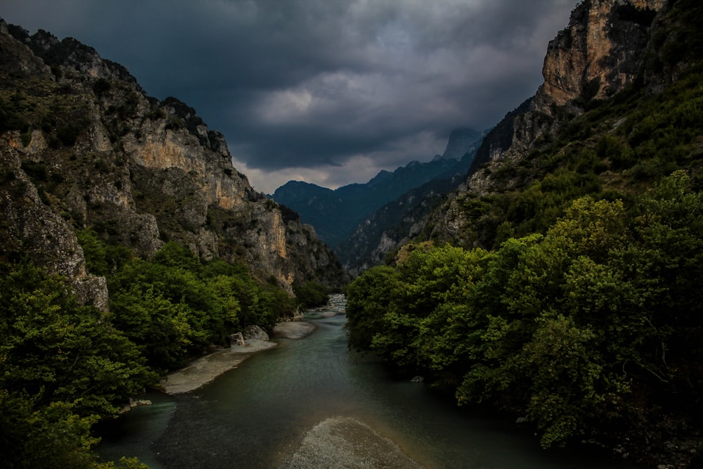 aerial photography of river