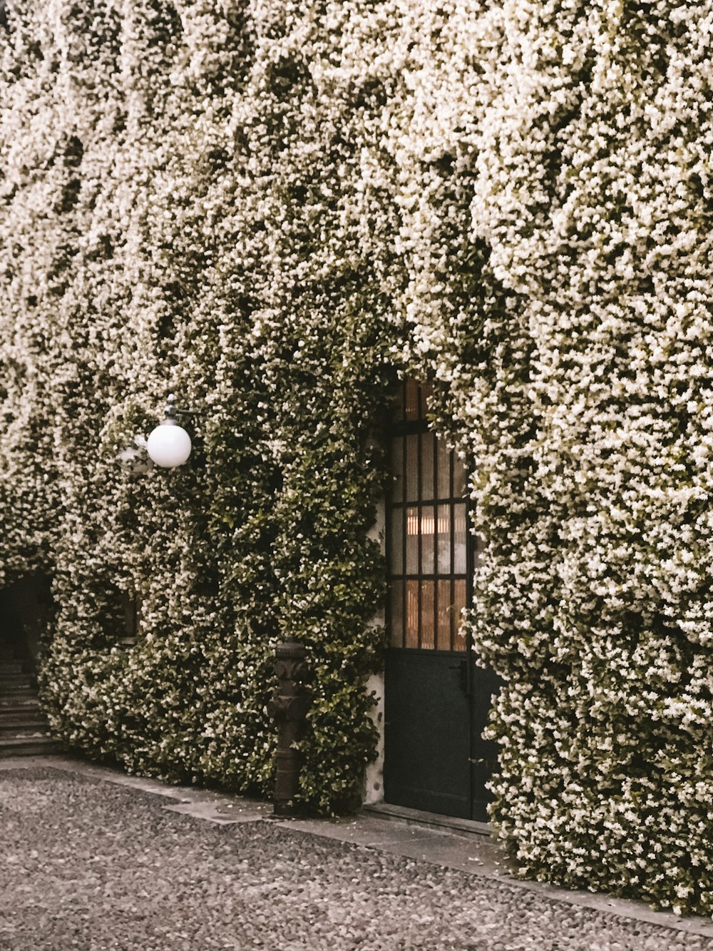 a building covered in vines and a street light