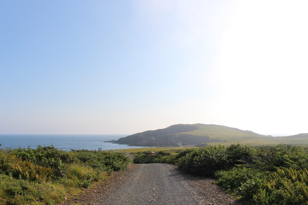 grey dirt road leading to sea