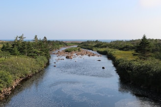 A calm river flowing through a picturesque landscape with trees.