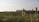 A serene landscape view with tall, slender grasses in the foreground and a gently rolling hillside in the background. The sky is clear, casting soft lighting over the green expanse.