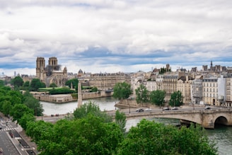Aerial view: the Seine, its bridges, and the Île de la Cité for a guided walk in the Latin Quarter