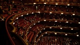 photography of people sitting on theater during nighttime
