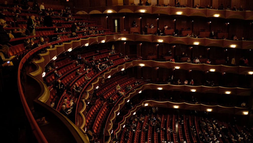 photography of people sitting on theater during nighttime