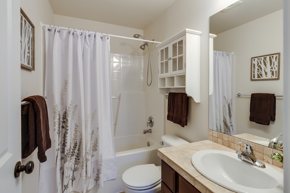 Elevate Your Space Trendy Bathroom Renovation Tips