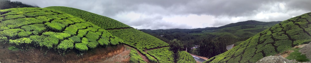 Hill station photo spot Munnar-Kumily Hwy Eravikulam National Park