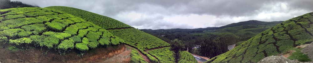 panoramic photo of hills