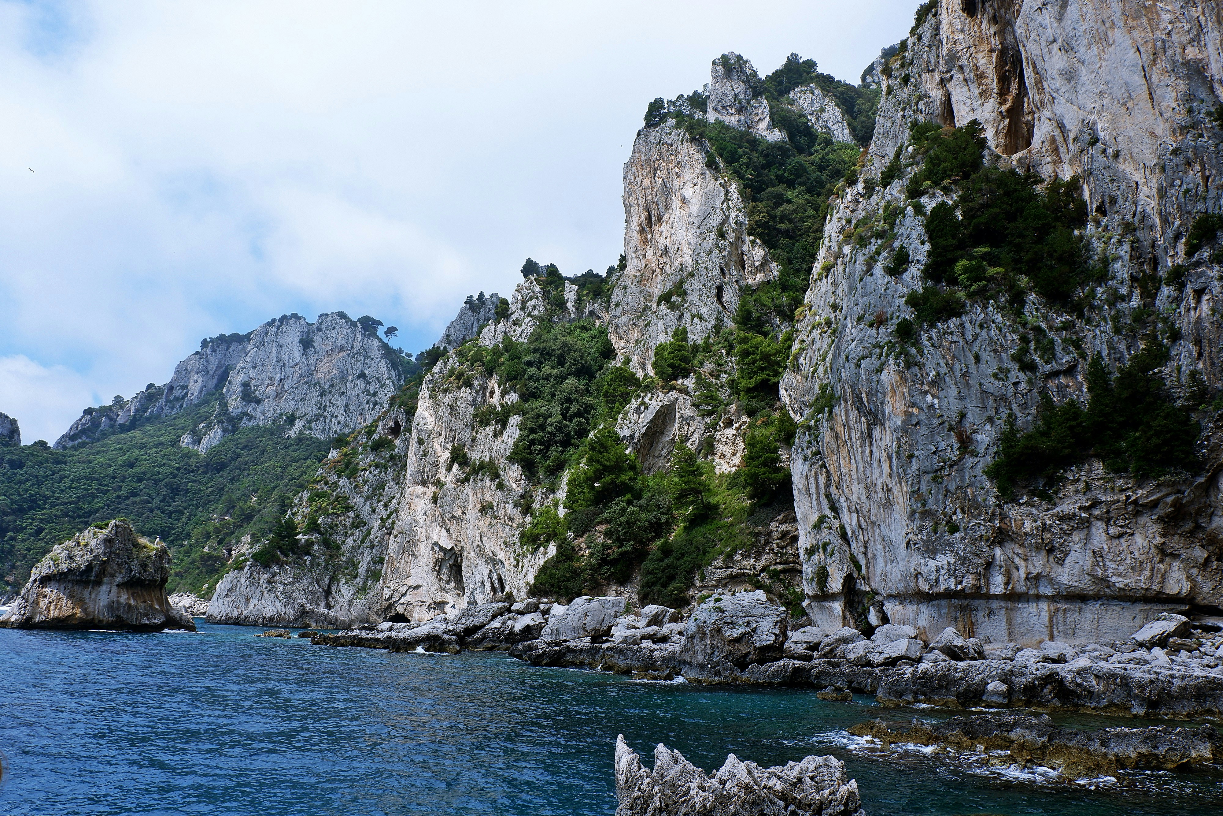 Définition de rébarbatif Dictionnaire français La langue française