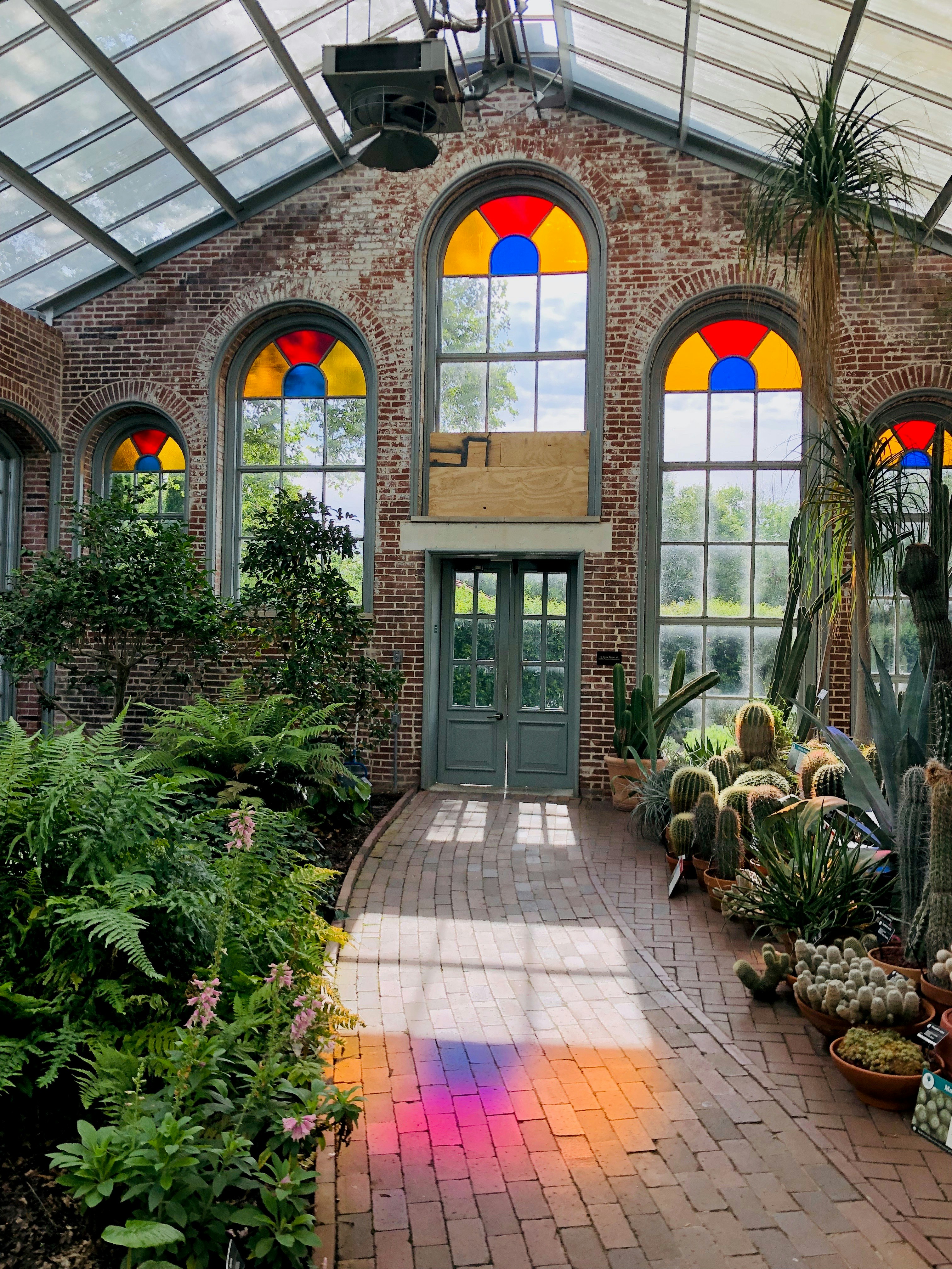 interior of a greenhouse