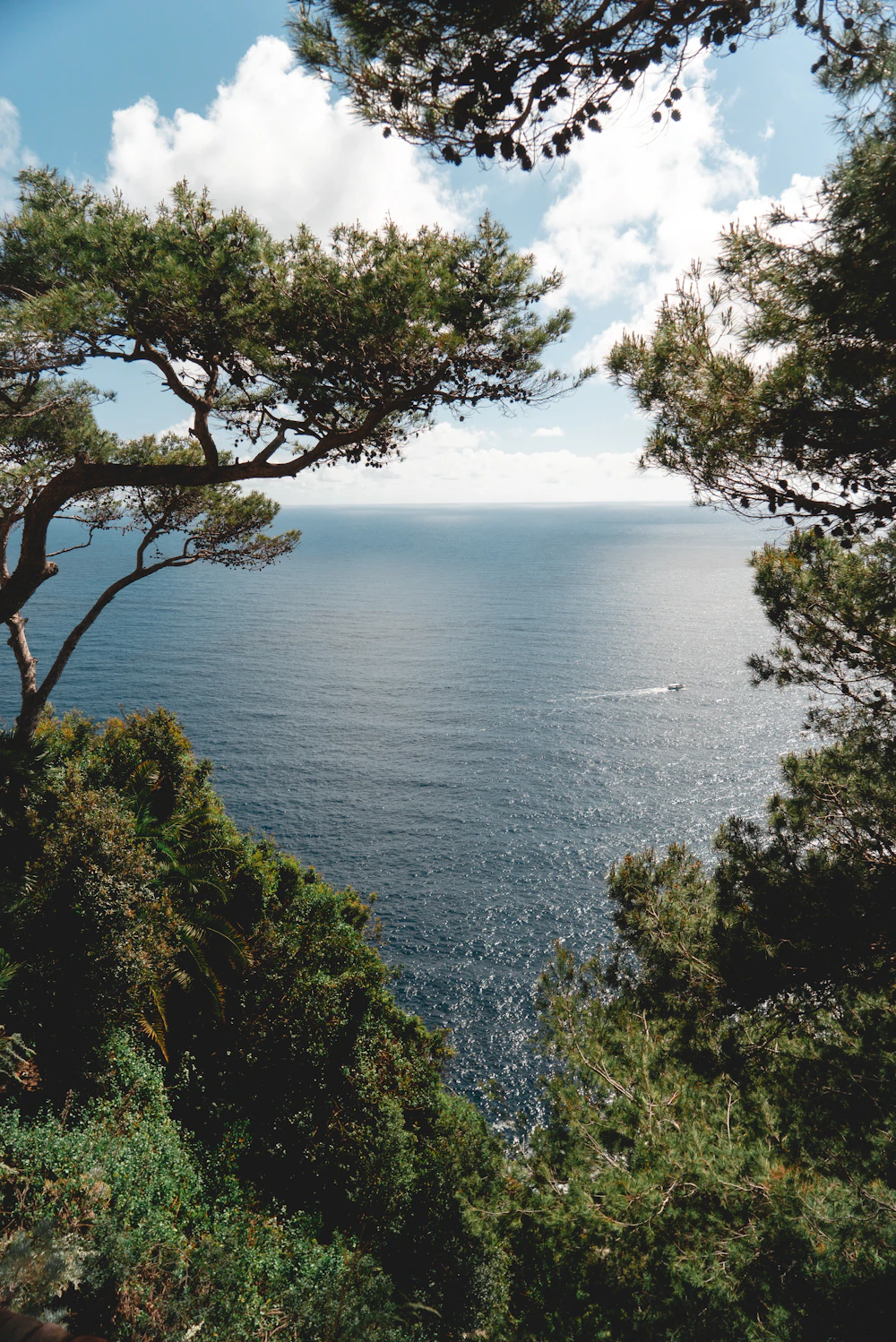 Méditerranée