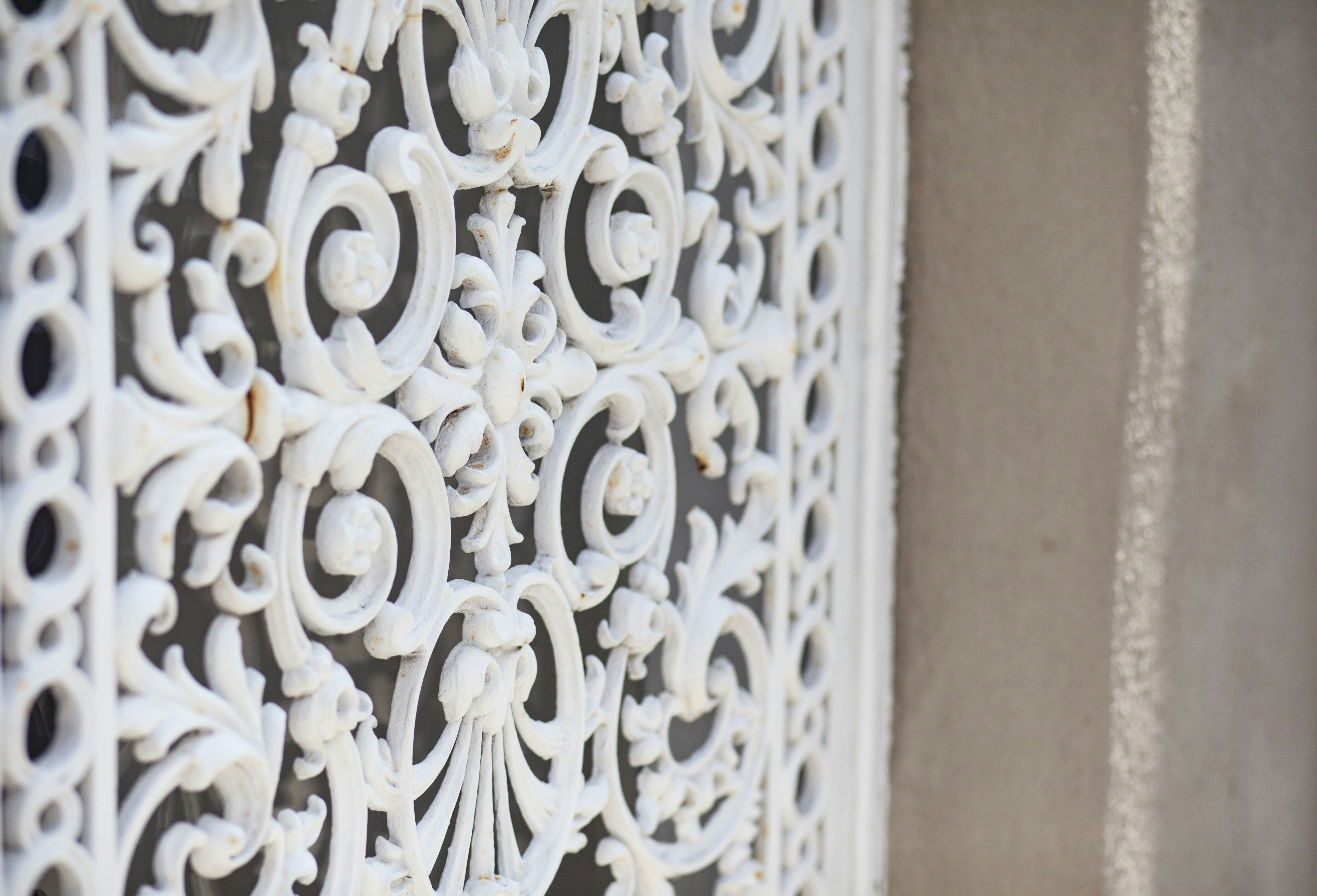 Classic Wrought Iron Screen