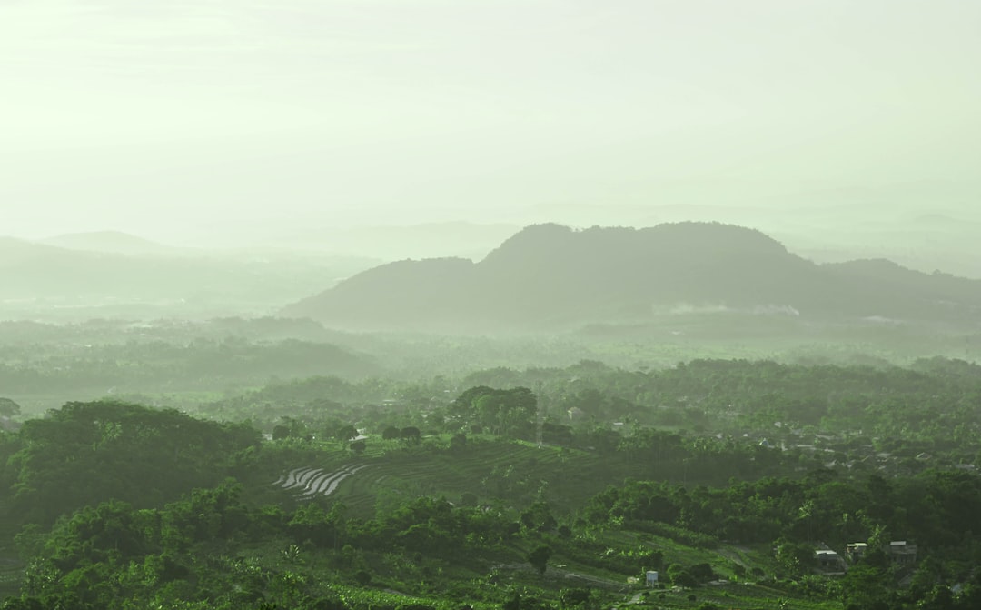 Escape the City Smog: Rejuvenate Your Skin at This Bucolic Skincare… — Escape the City Smog