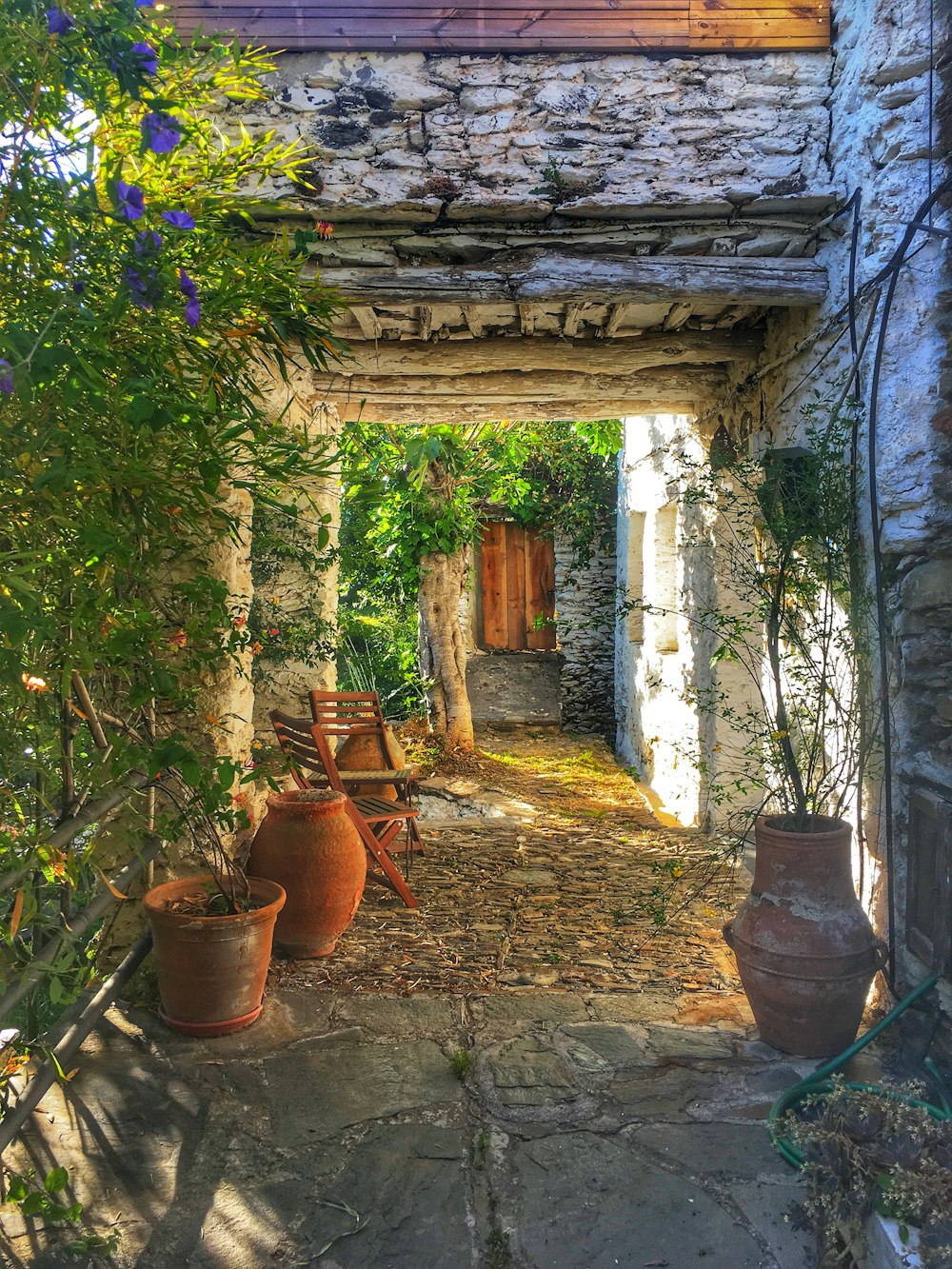 brown clay pot near green leaf plant