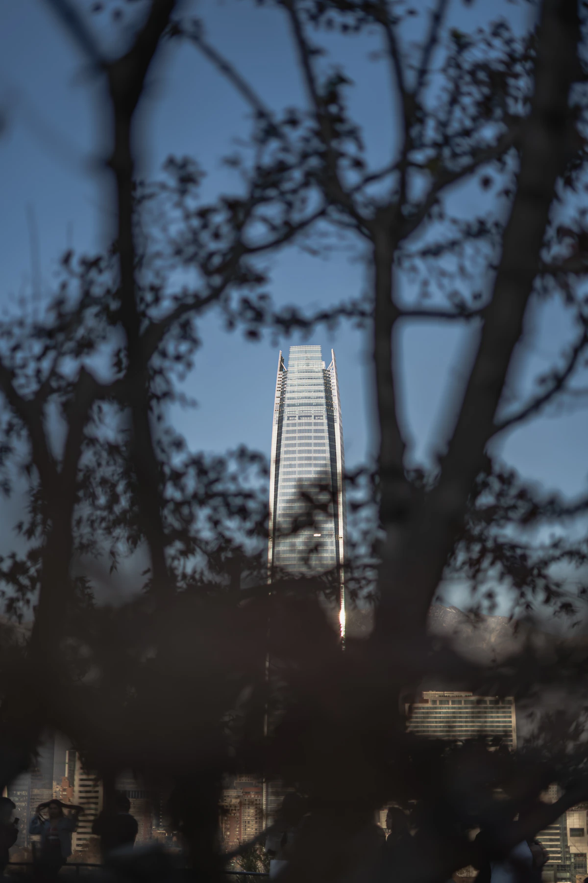Santiago's modern skyline seen through trees on Cerro San Cristóbal