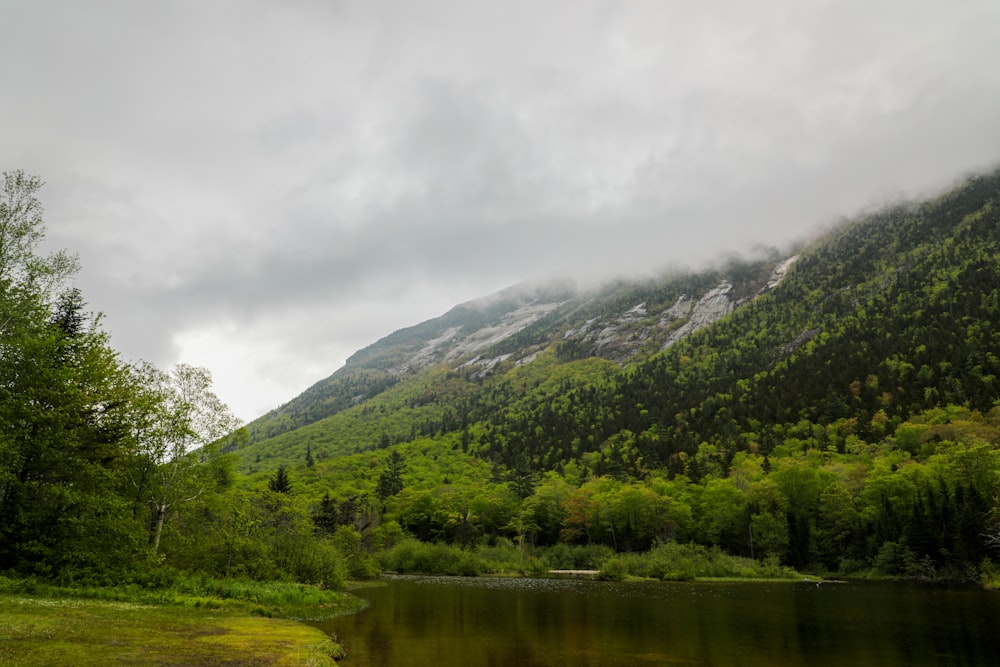 body of water across green mountain