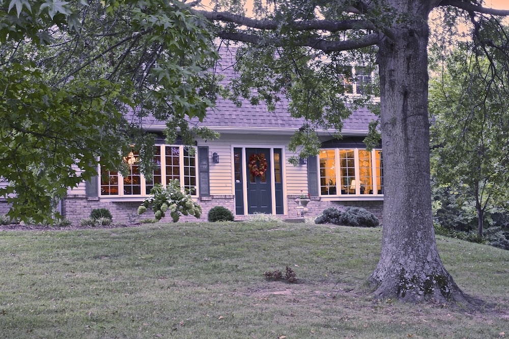 house near tree during day