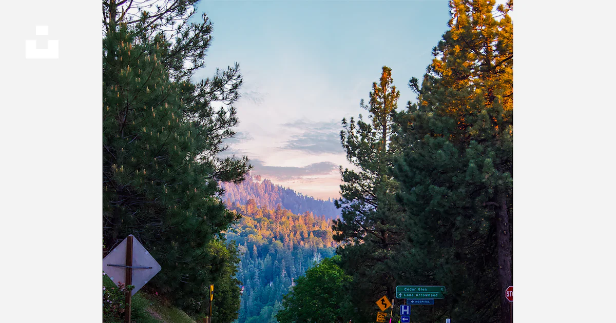 Black road path photo – Free Road Image on Unsplash