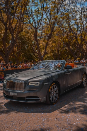 gray convertible car besides people