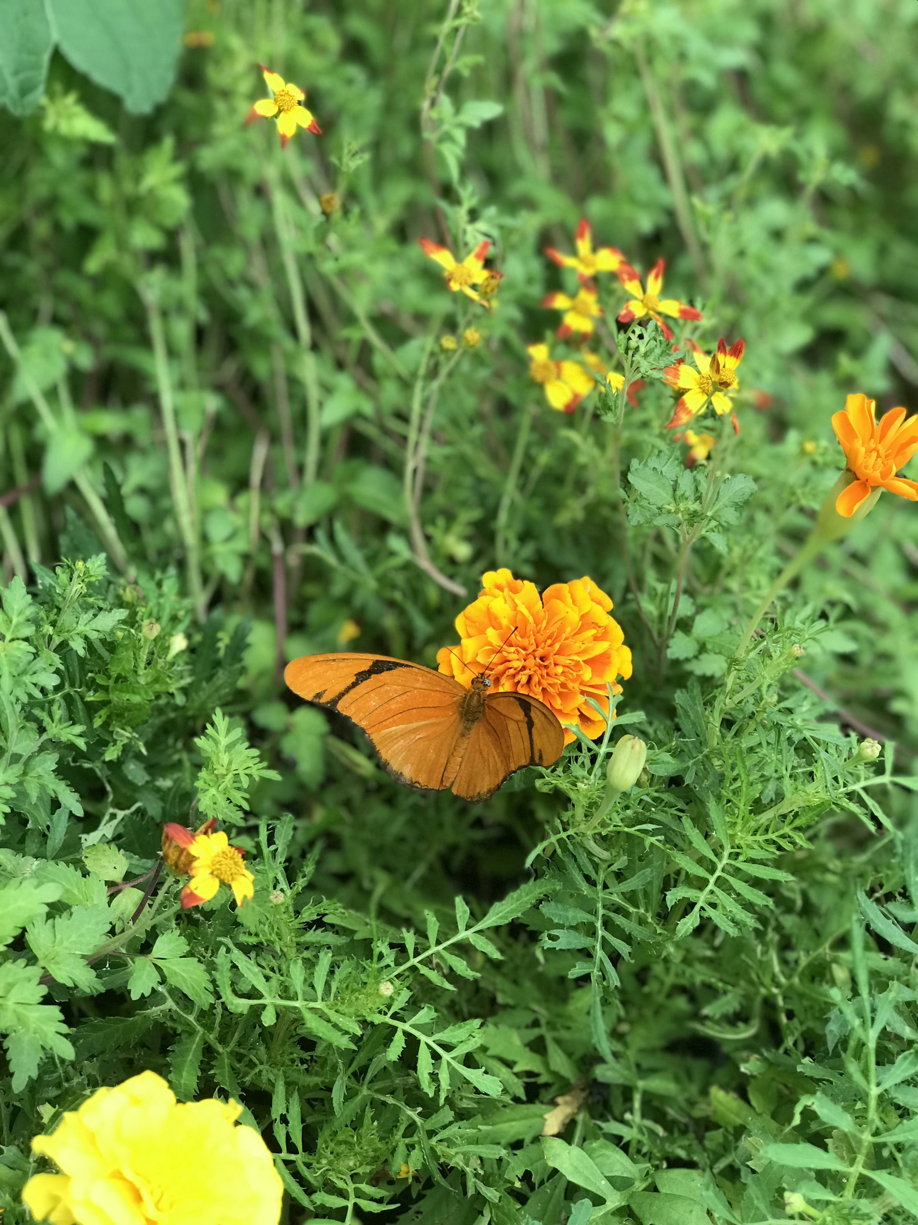 Photo by vasudha_nagaraju