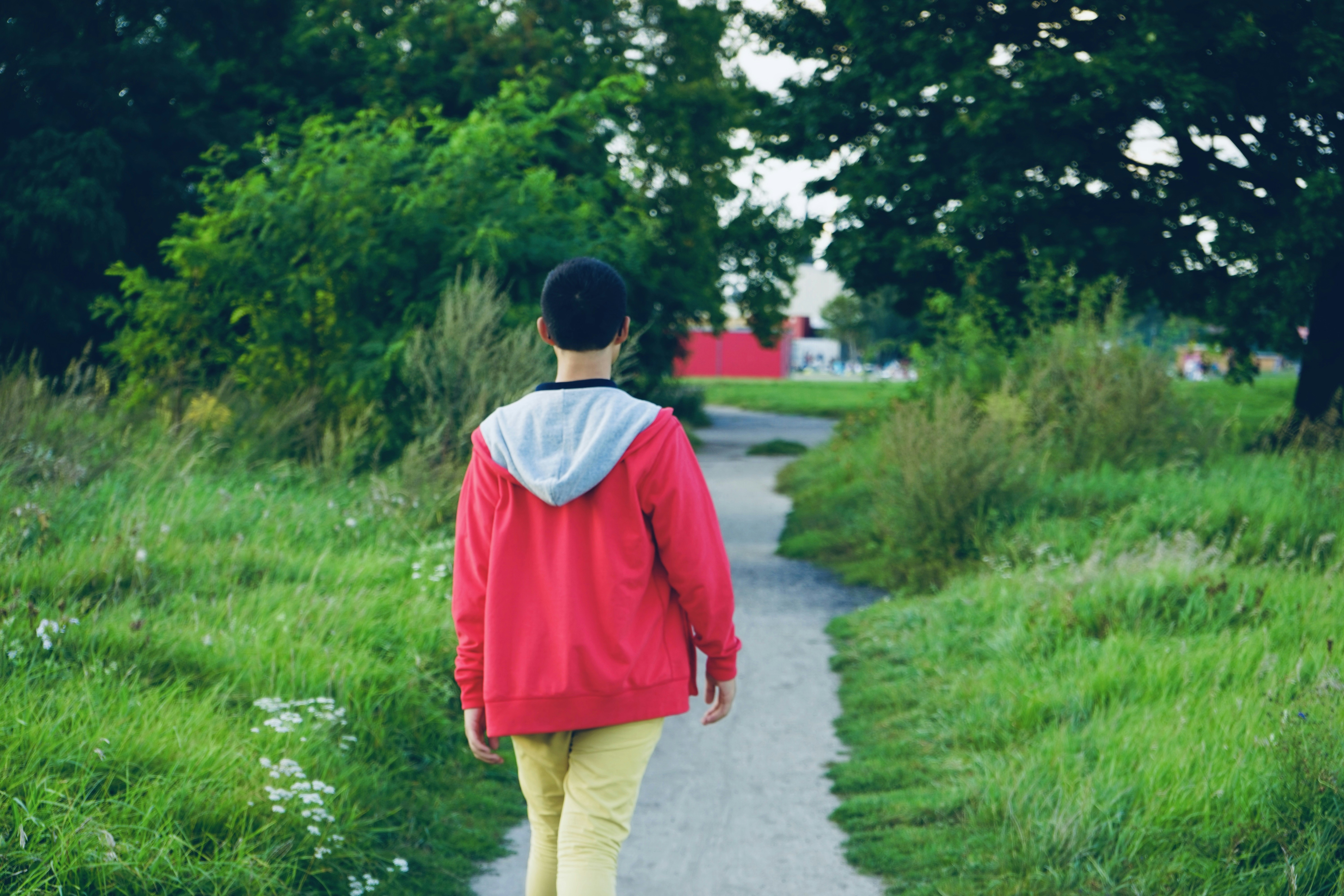 person walking on pathway near grasses