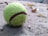 A worn-out tennis ball with visible scuff marks rests on a rough, sandy surface, surrounded by dry leaves and small debris. The background is blurred, emphasizing the texture of the ball and the ground.