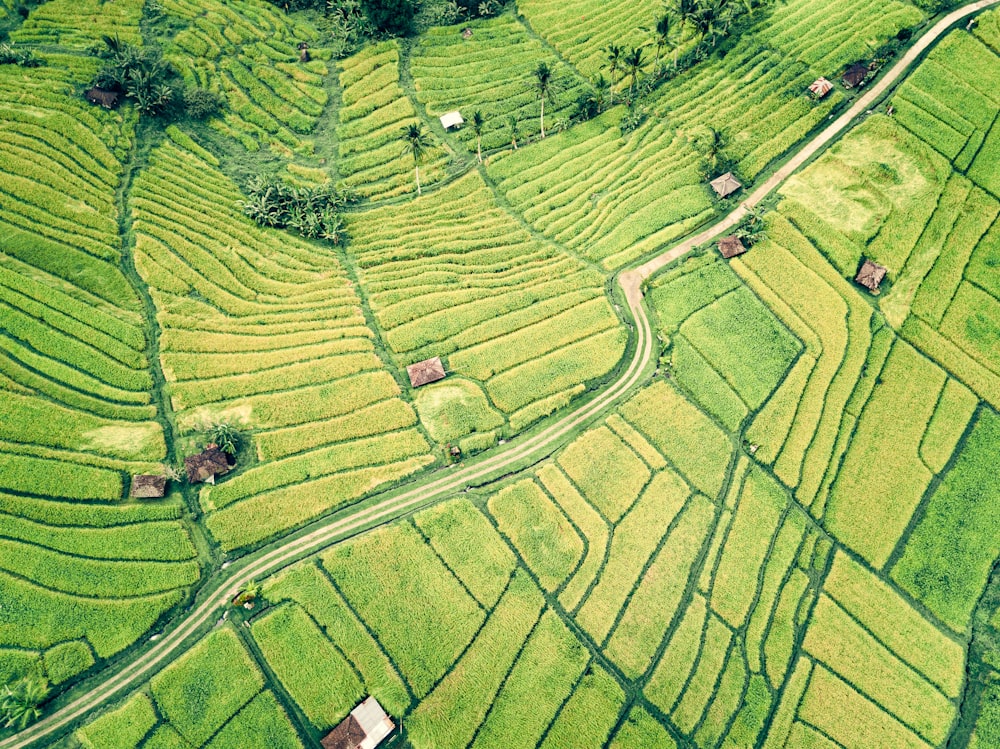 few houses in green field view