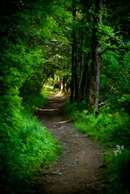 trouver son chemin