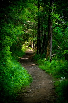 trouver son chemin