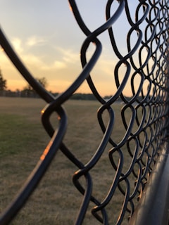 gray metal chain link fence viewing green round