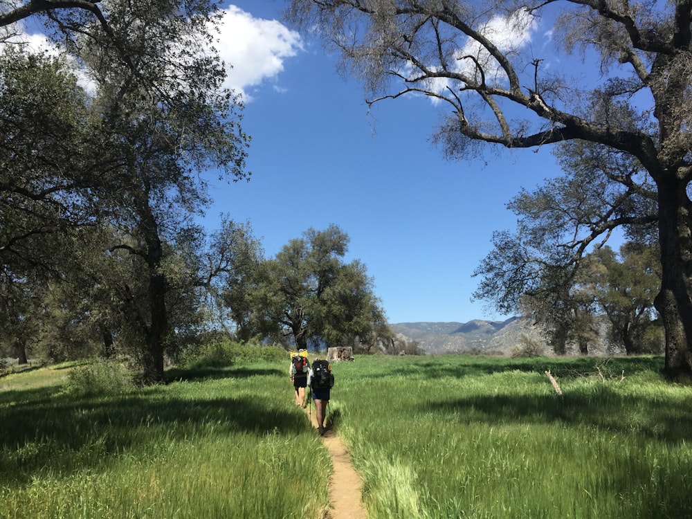 people walking on trail across grass field