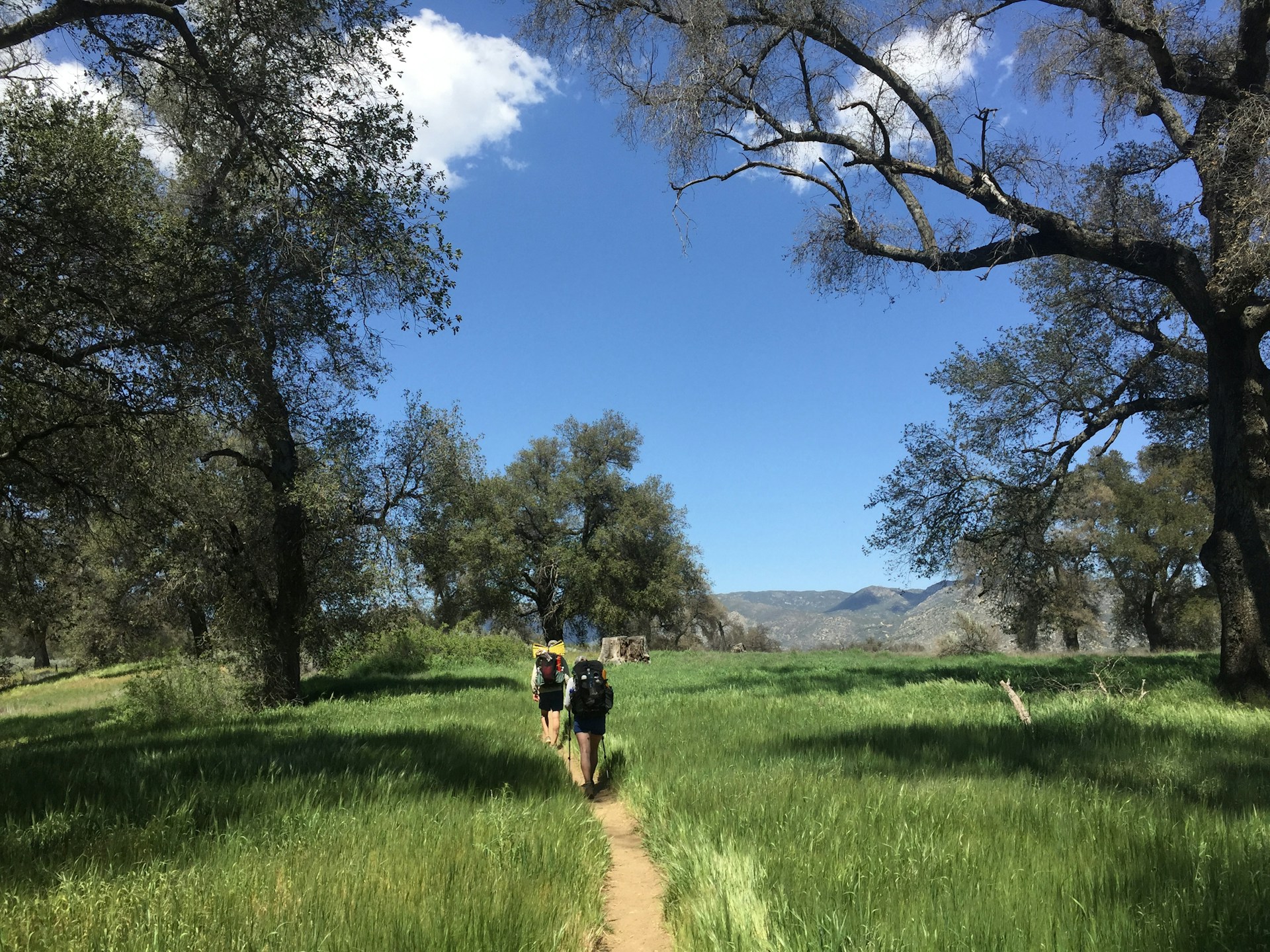 people walking on trail across grass field
