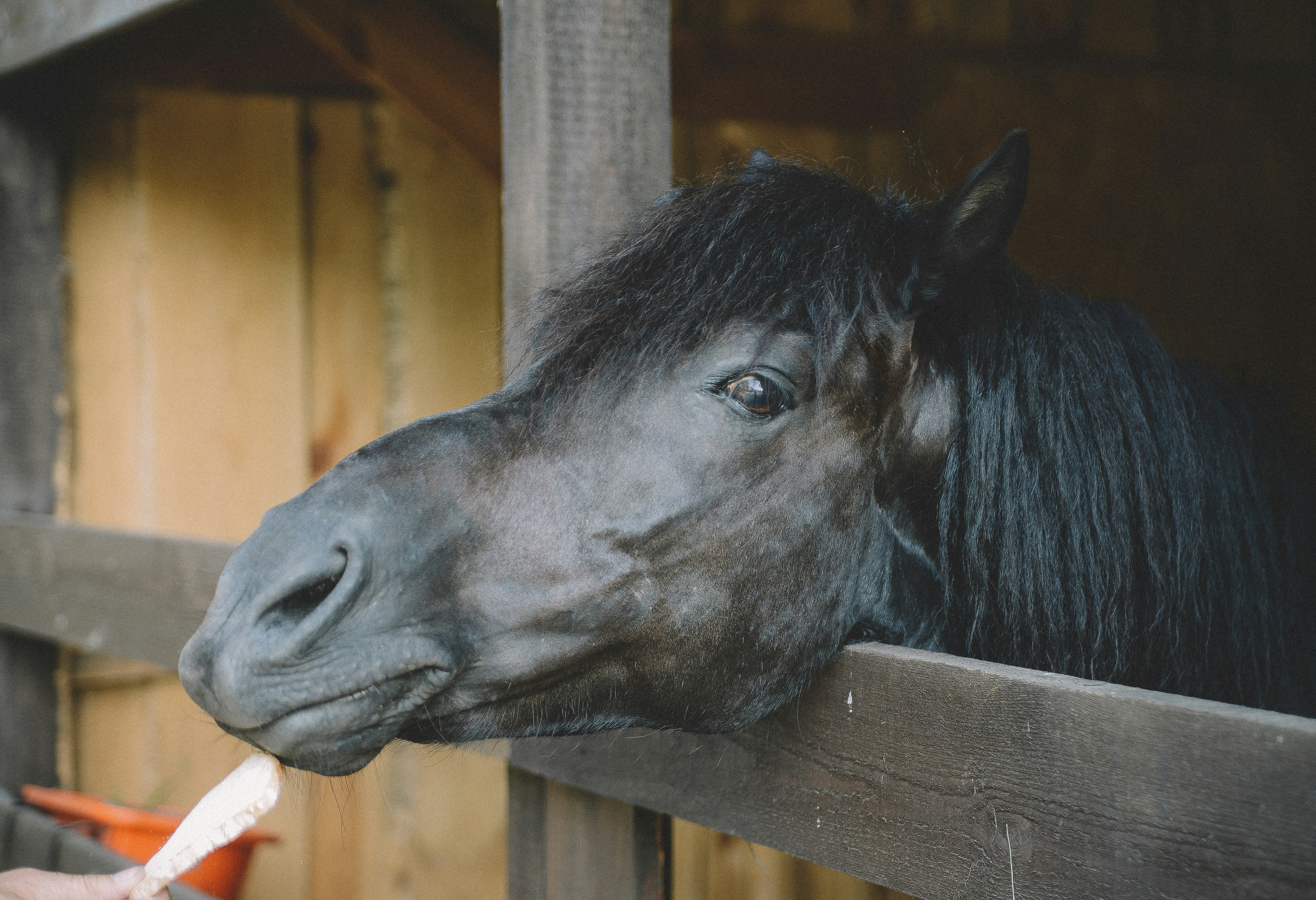 Photo by secondastronaut