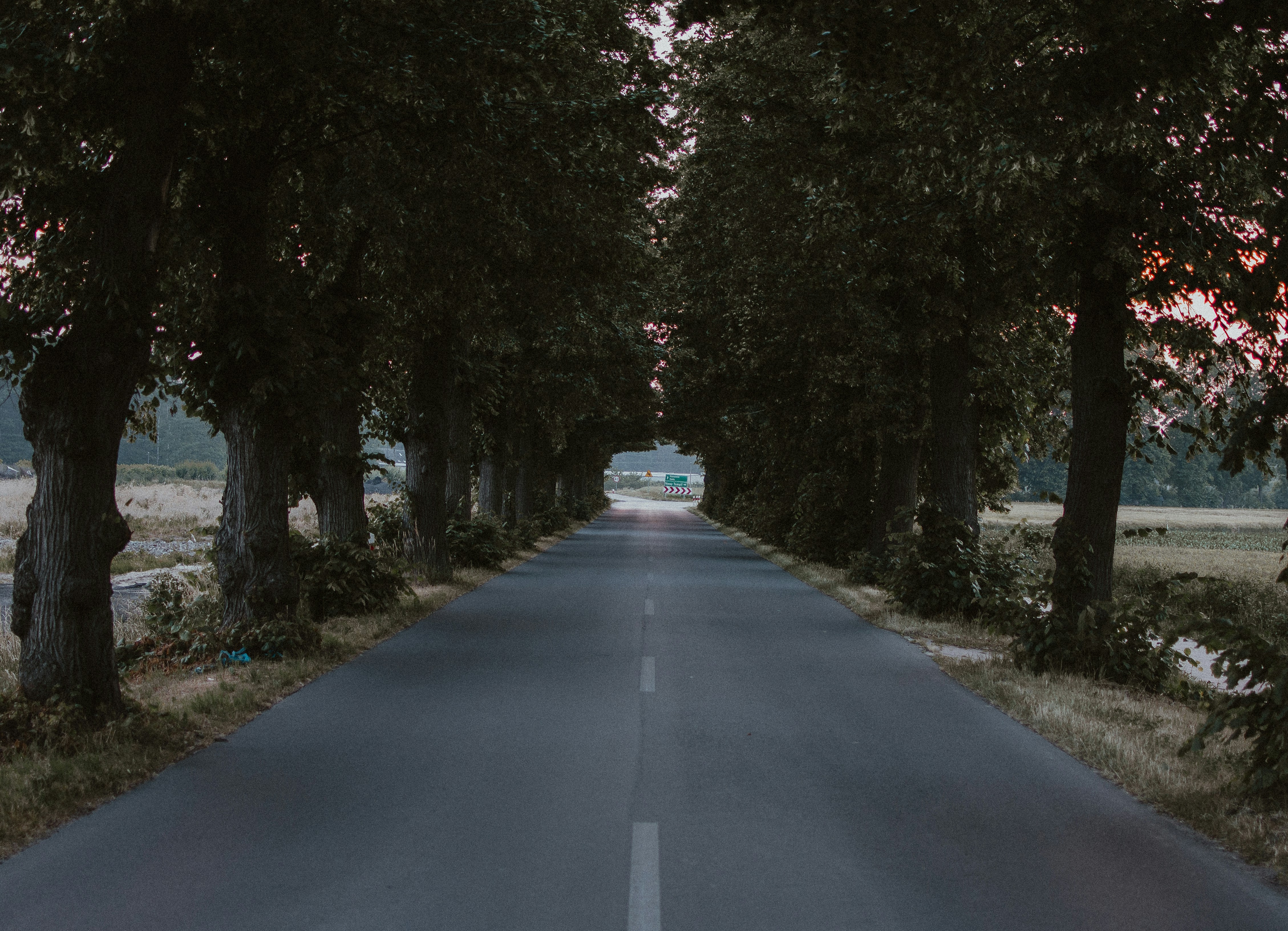 Photo by pablo_janusz