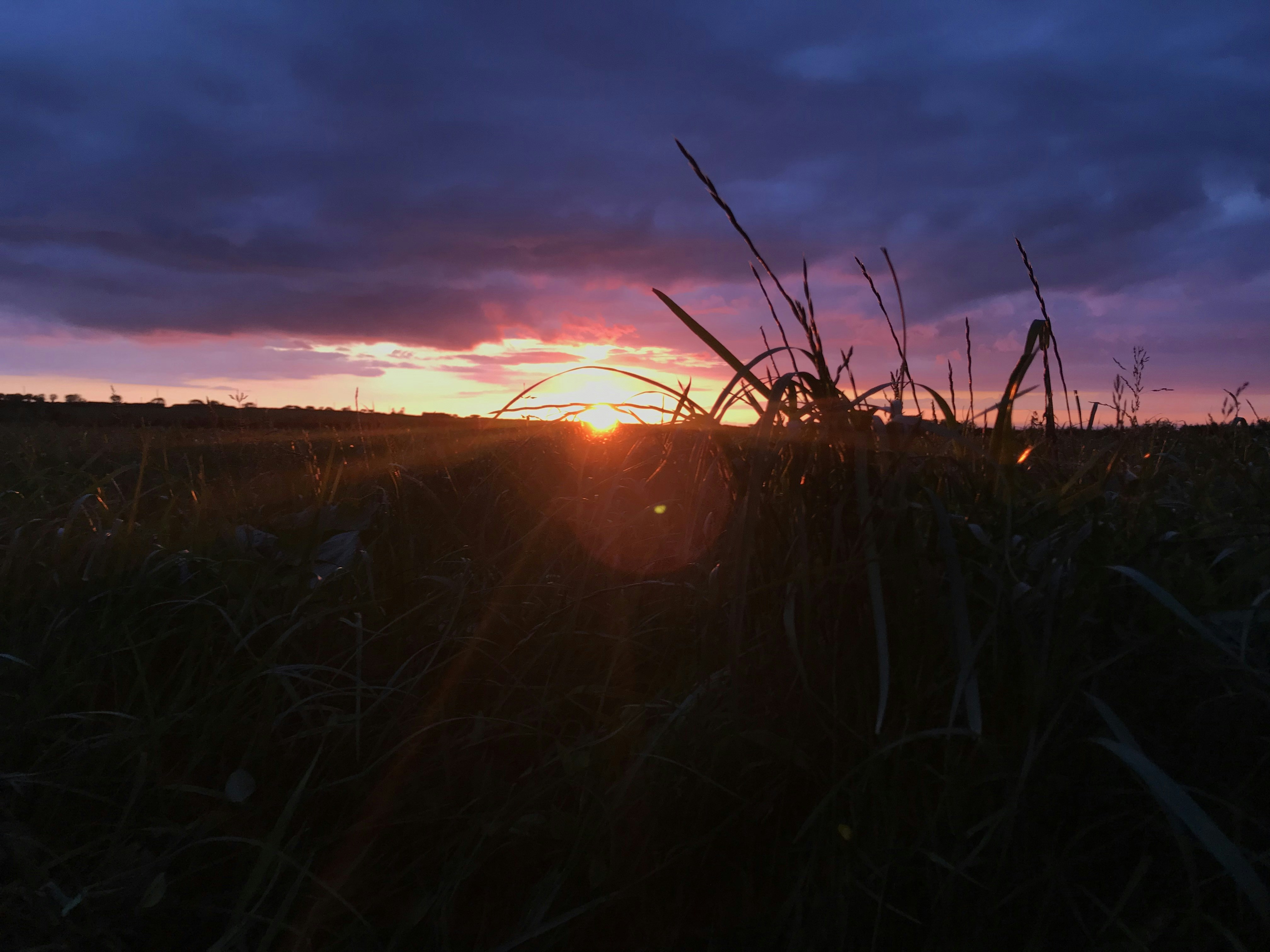 Photo by lastellakatie120
