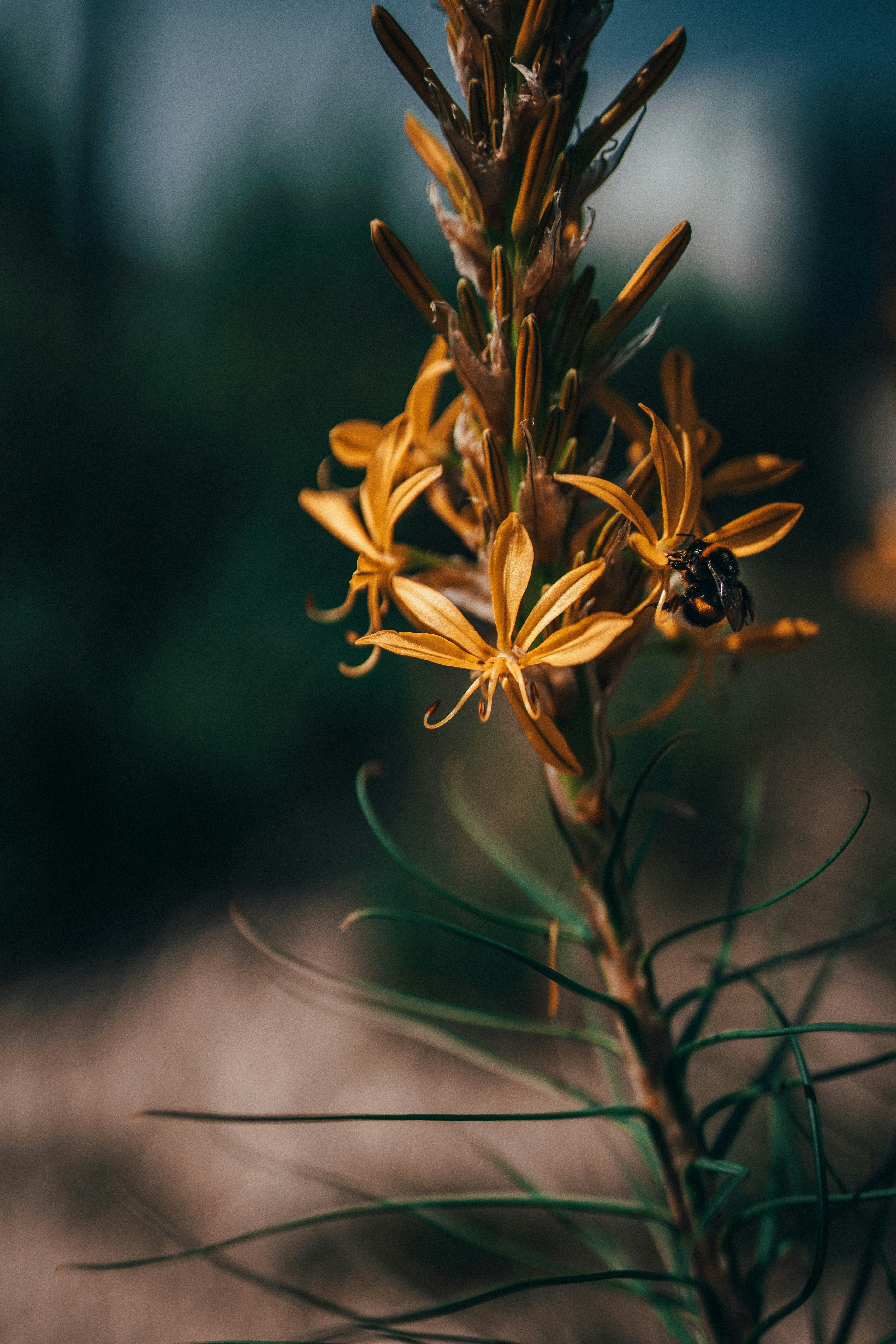 Photo by mirkosphoto