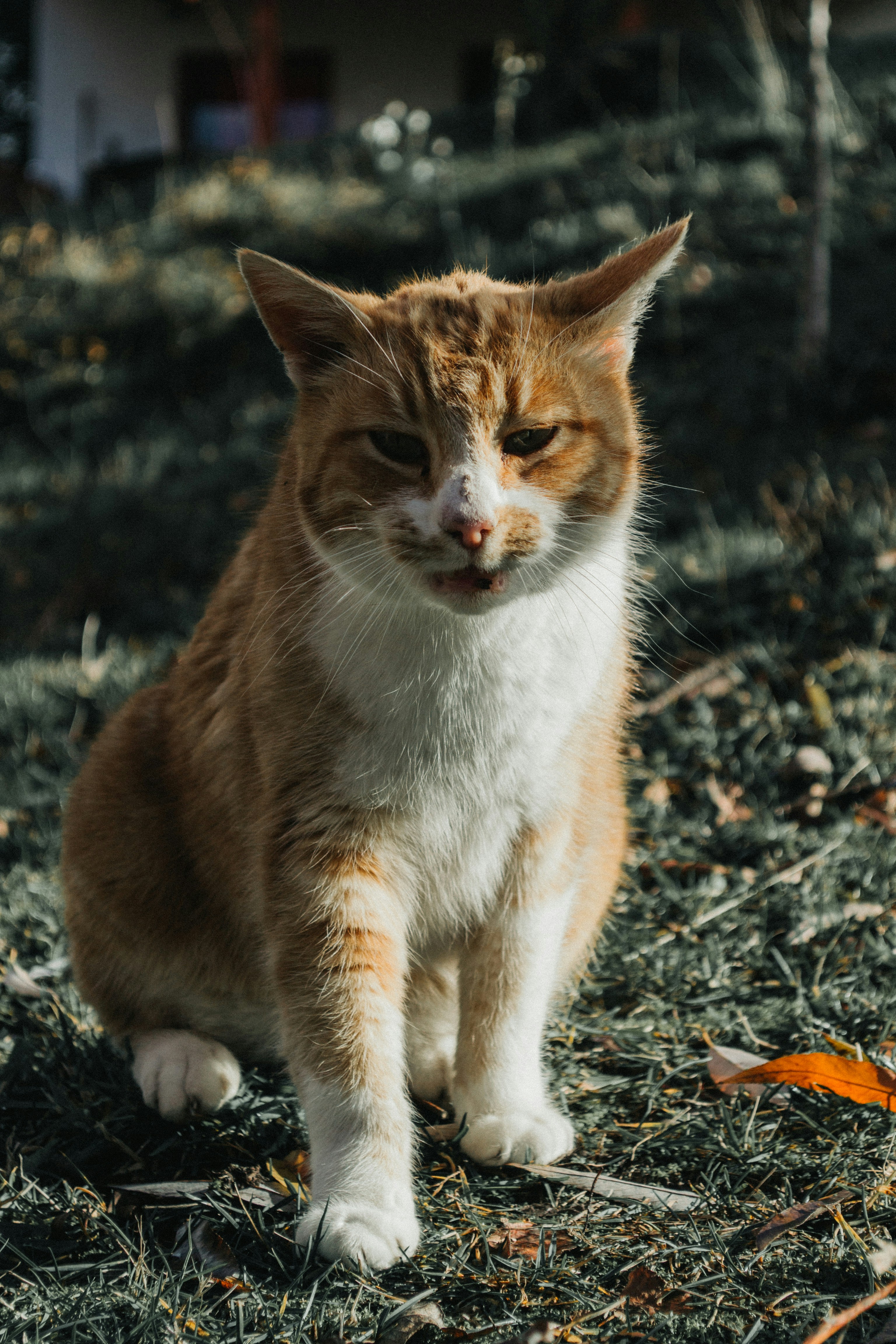 Photo by santisteink