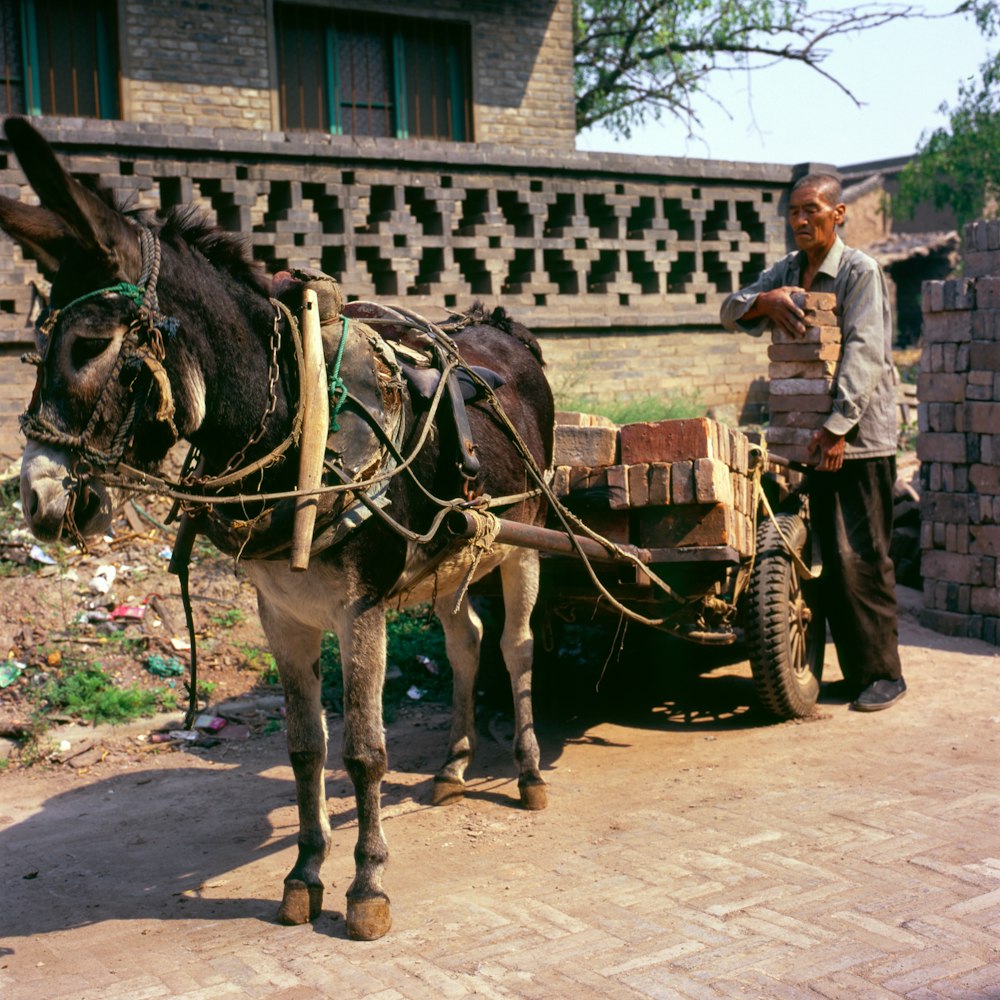man putting concrete bricks on horse carriage