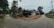 A rustic, rural setting featuring a small, single-story wooden house with a tin roof situated at a crossroads. Surrounding the house are tall palm trees and lush greenery. The roads are unpaved and the area has a serene and quiet atmosphere, with wooden posts supporting overhead wires.