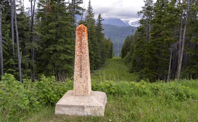 Close-up of land boundaries marked with stones and small trees.