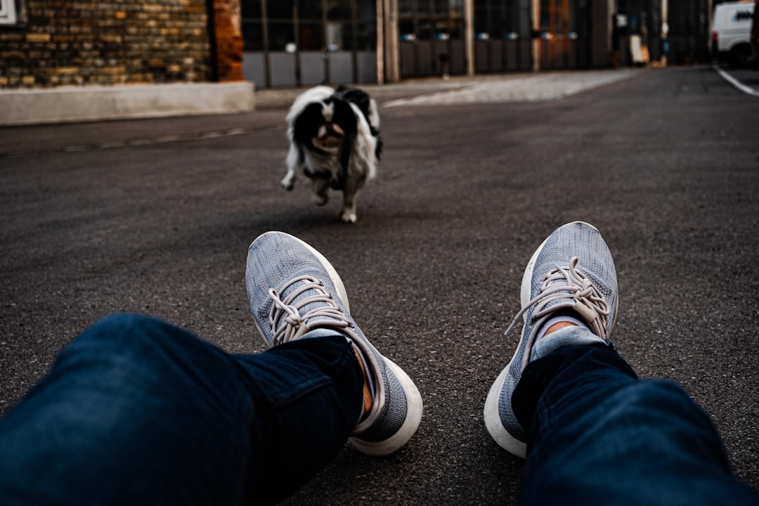 person wearing grey running shoes