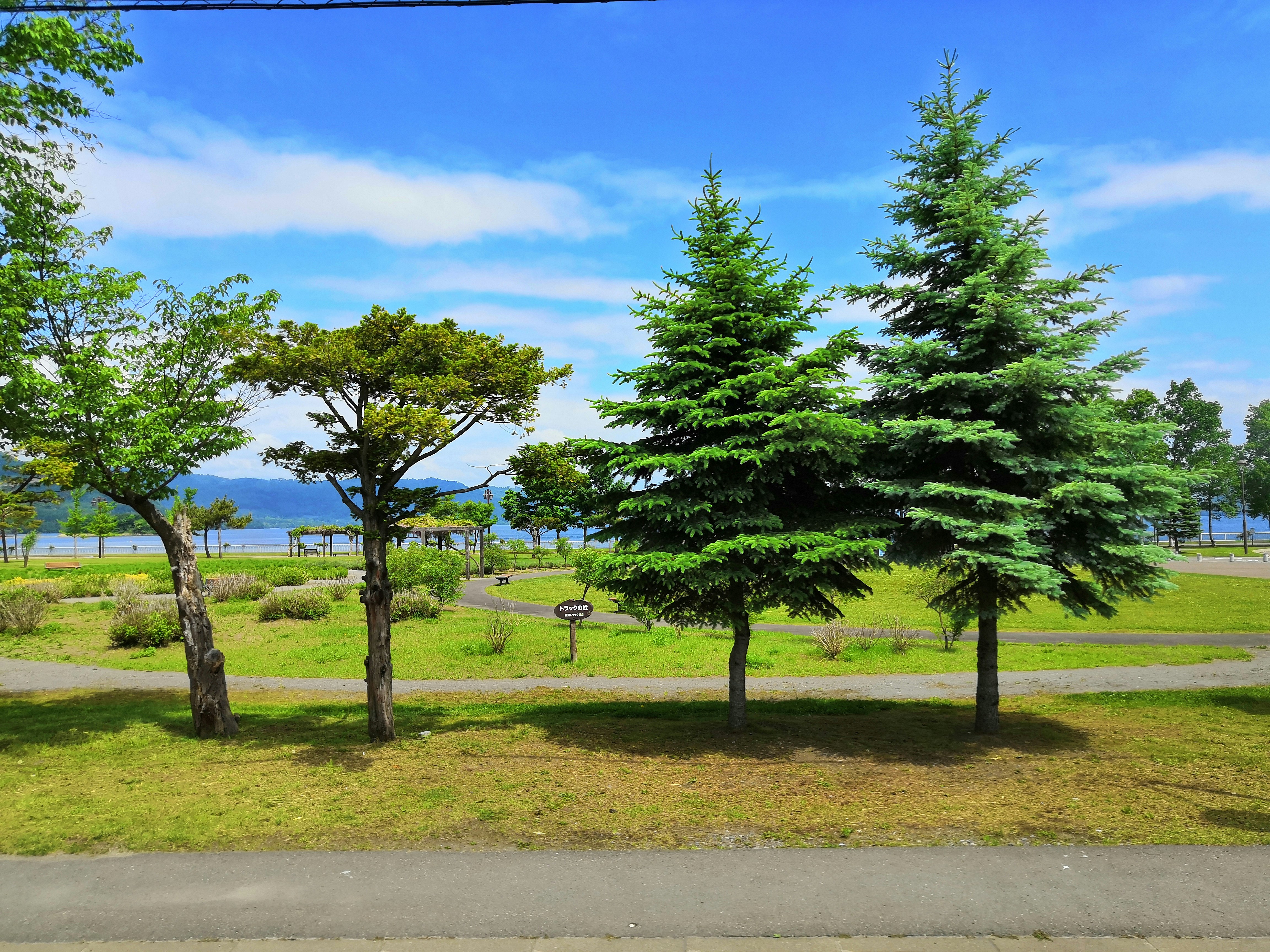北39条アカシヤ公園