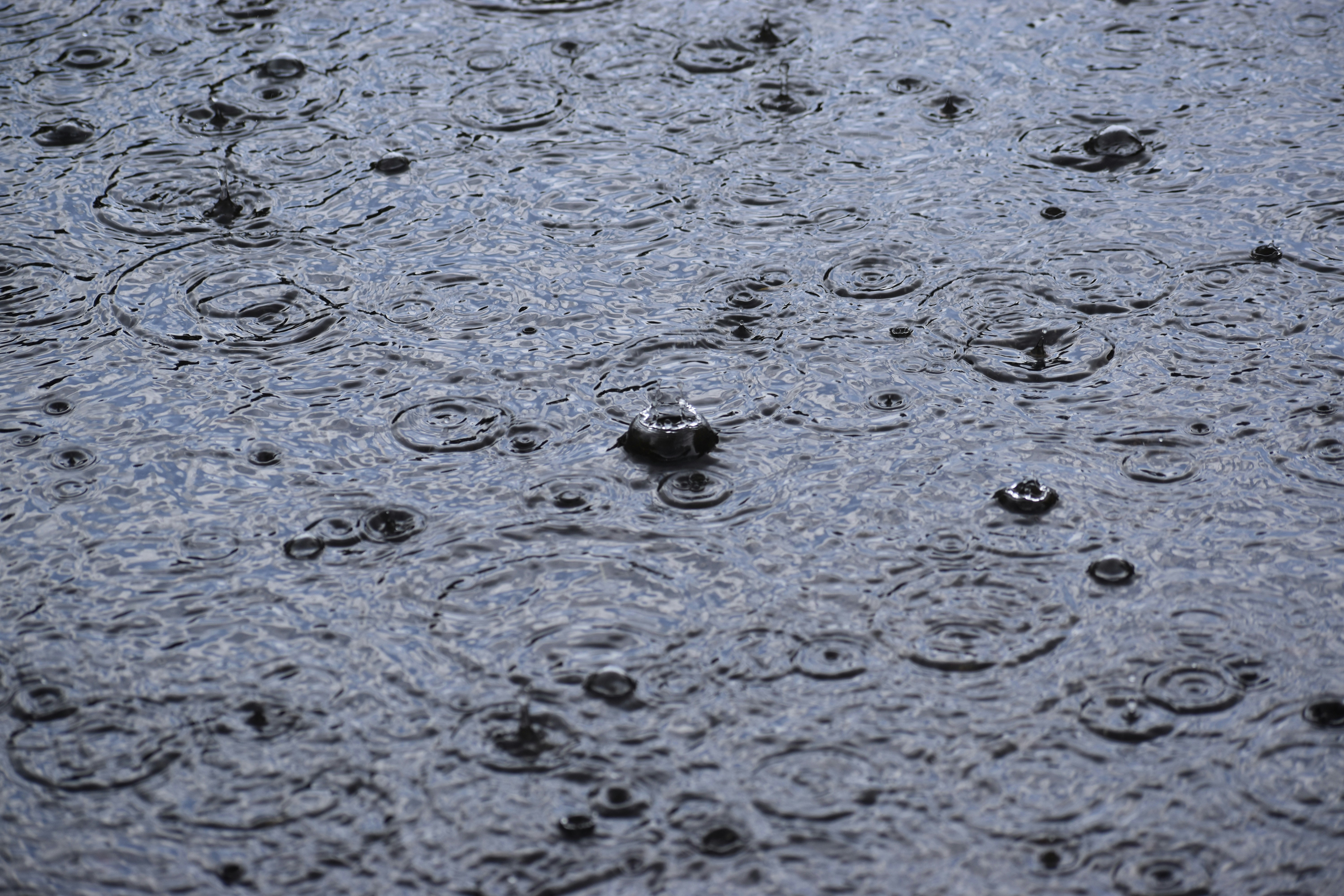 Photo by pictures102