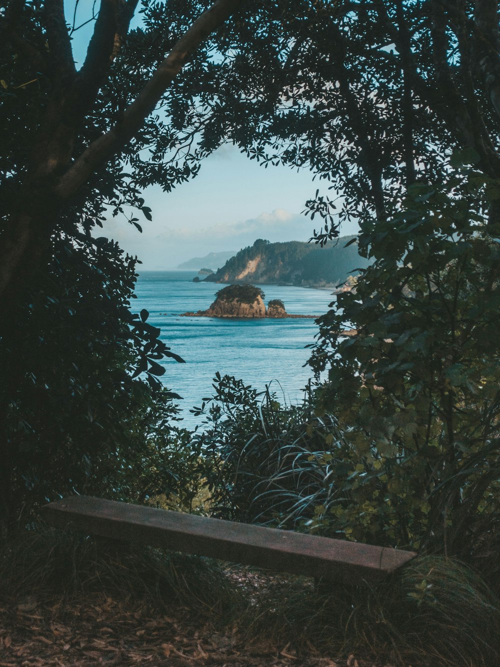 brown bench under trees near sea