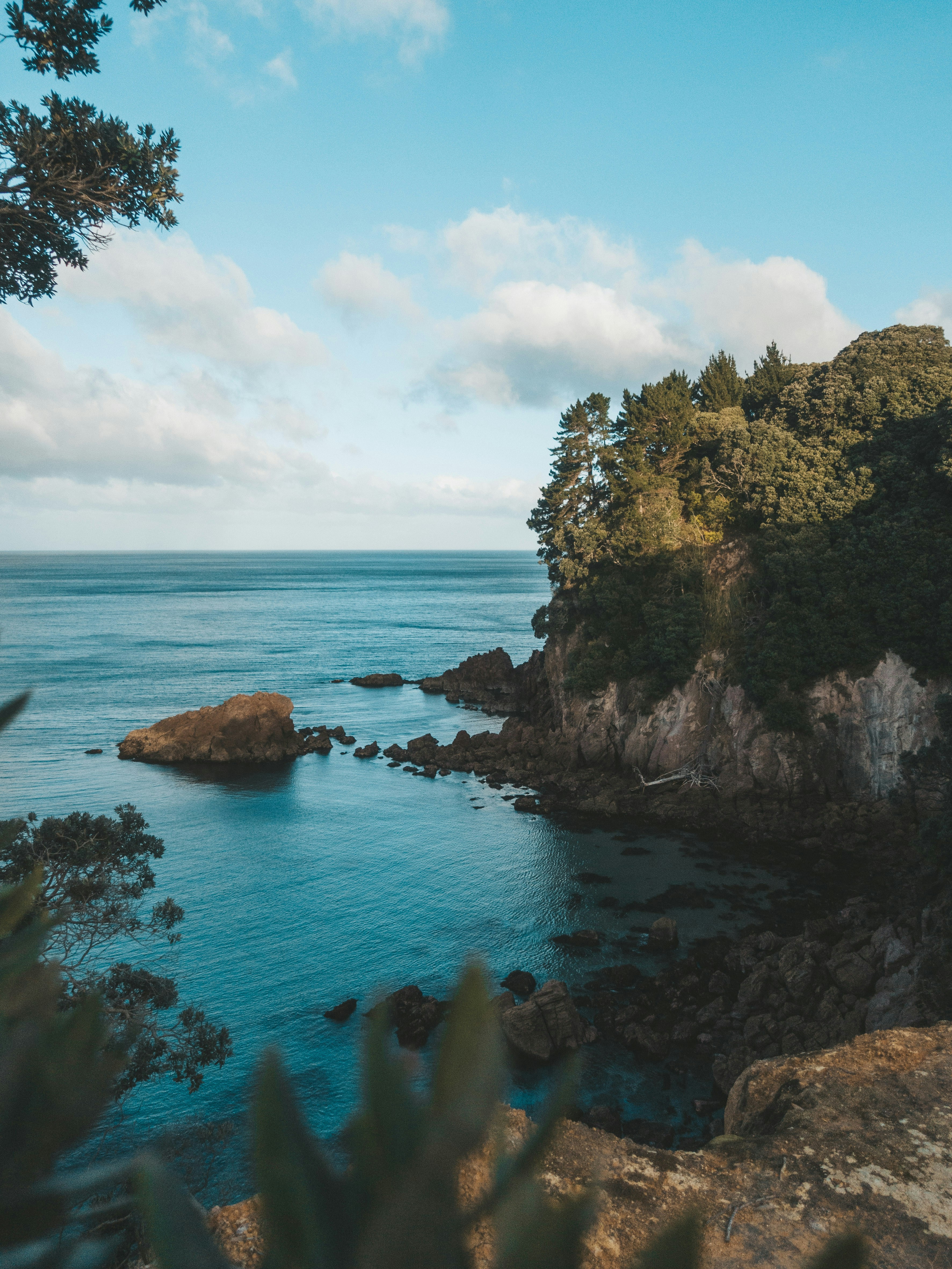 brown and green rock formation