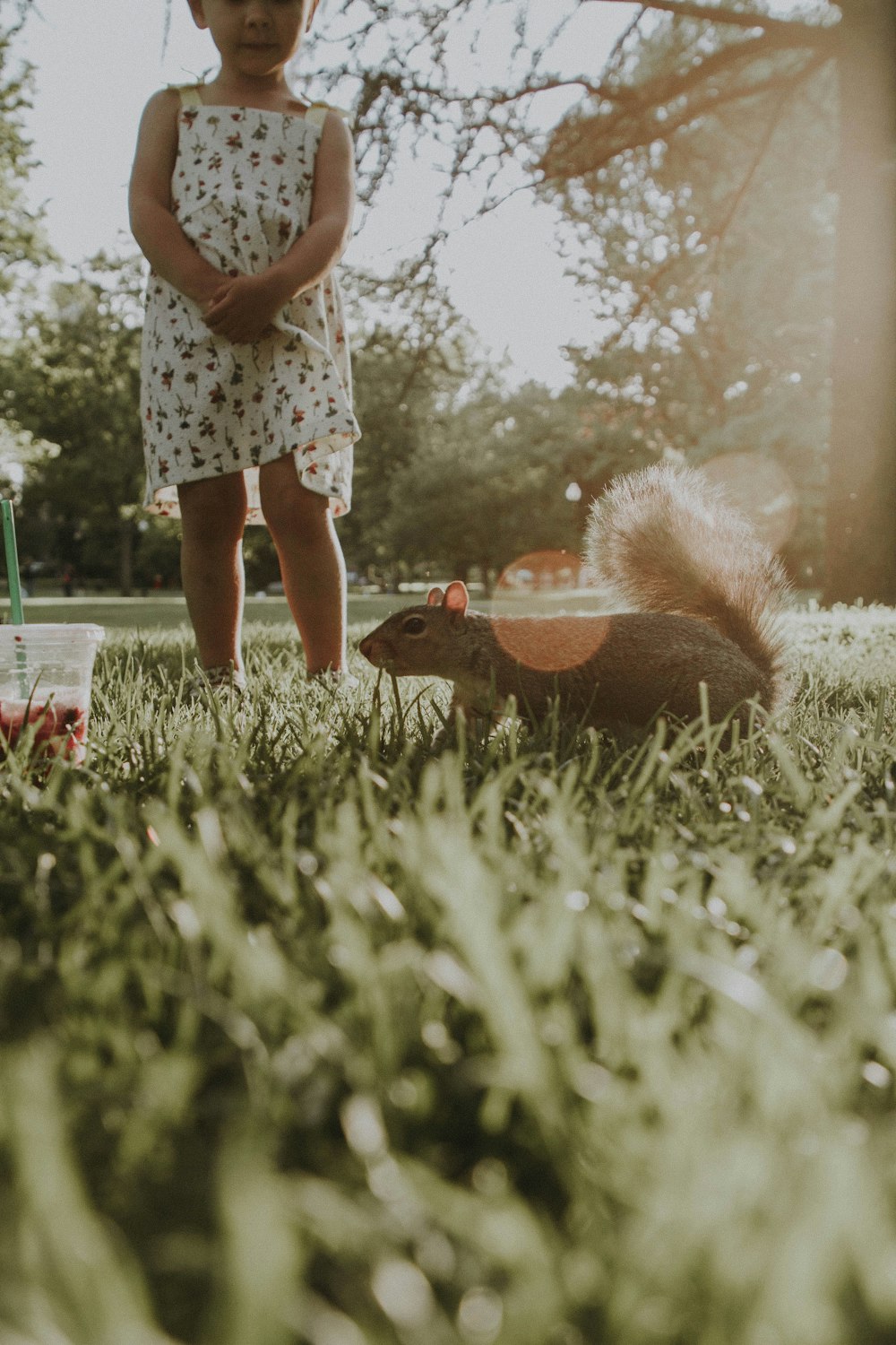 girl standing and looking on squirrel during daytime